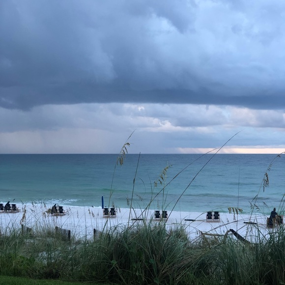 Meet your Posher, Danielle - Picture 1 of 1